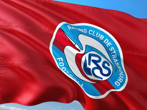 乐鱼体育官网下载-最强泰山队回归：10轮不败主场8连胜，泰山队最新